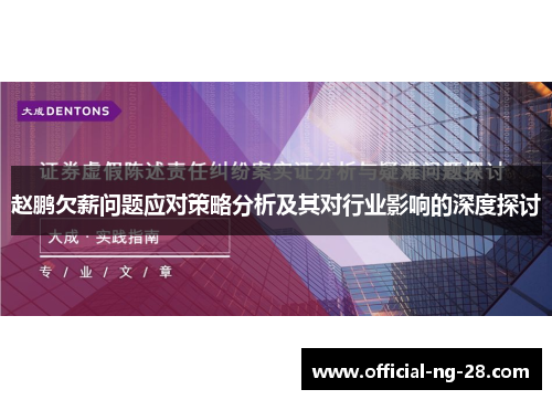 赵鹏欠薪问题应对策略分析及其对行业影响的深度探讨