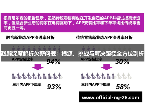 赵鹏深度解析欠薪问题：根源、挑战与解决路径全方位剖析